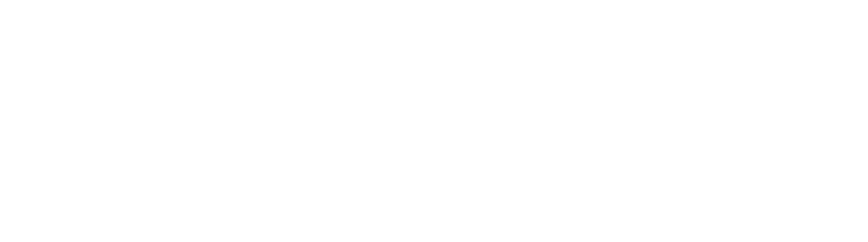 ADEMI Consultores